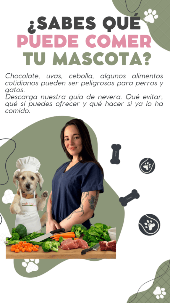CTA guia heladera