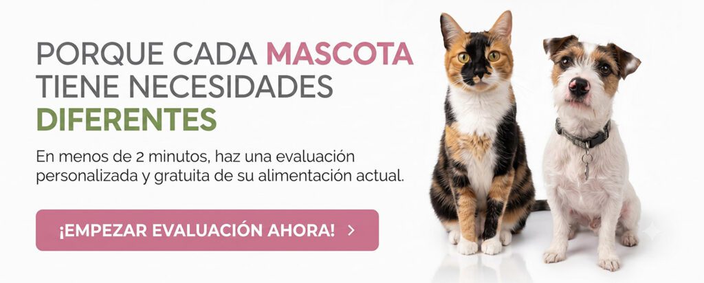 evaluacion horiz