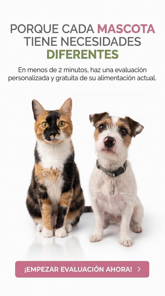 evaluacion vert