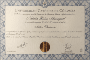 titulo